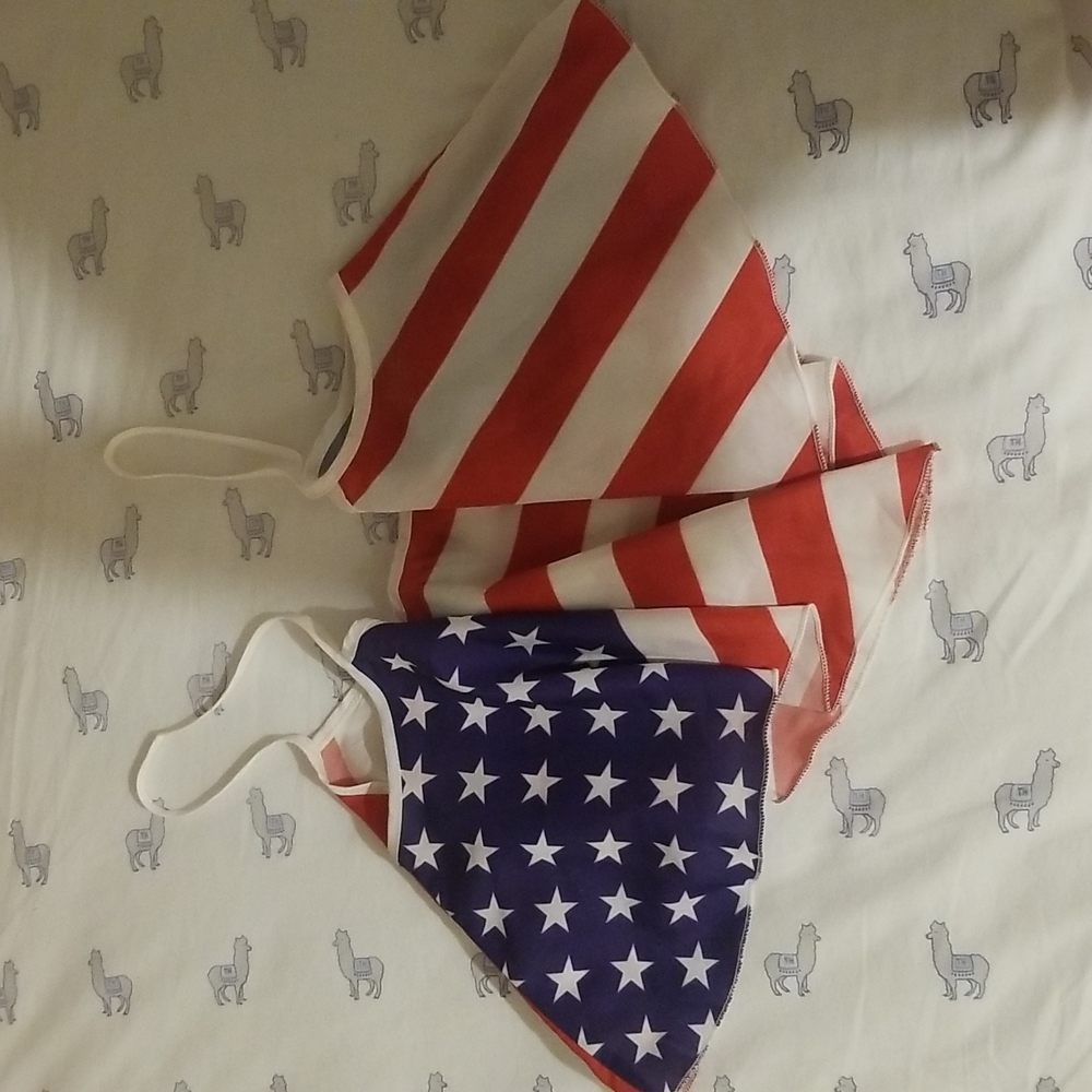 American flag crop top sz 10 Medium large